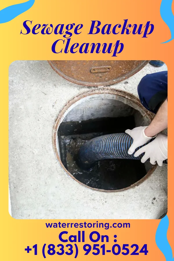 Sewage Backup Cleanup in Argyle, MO
